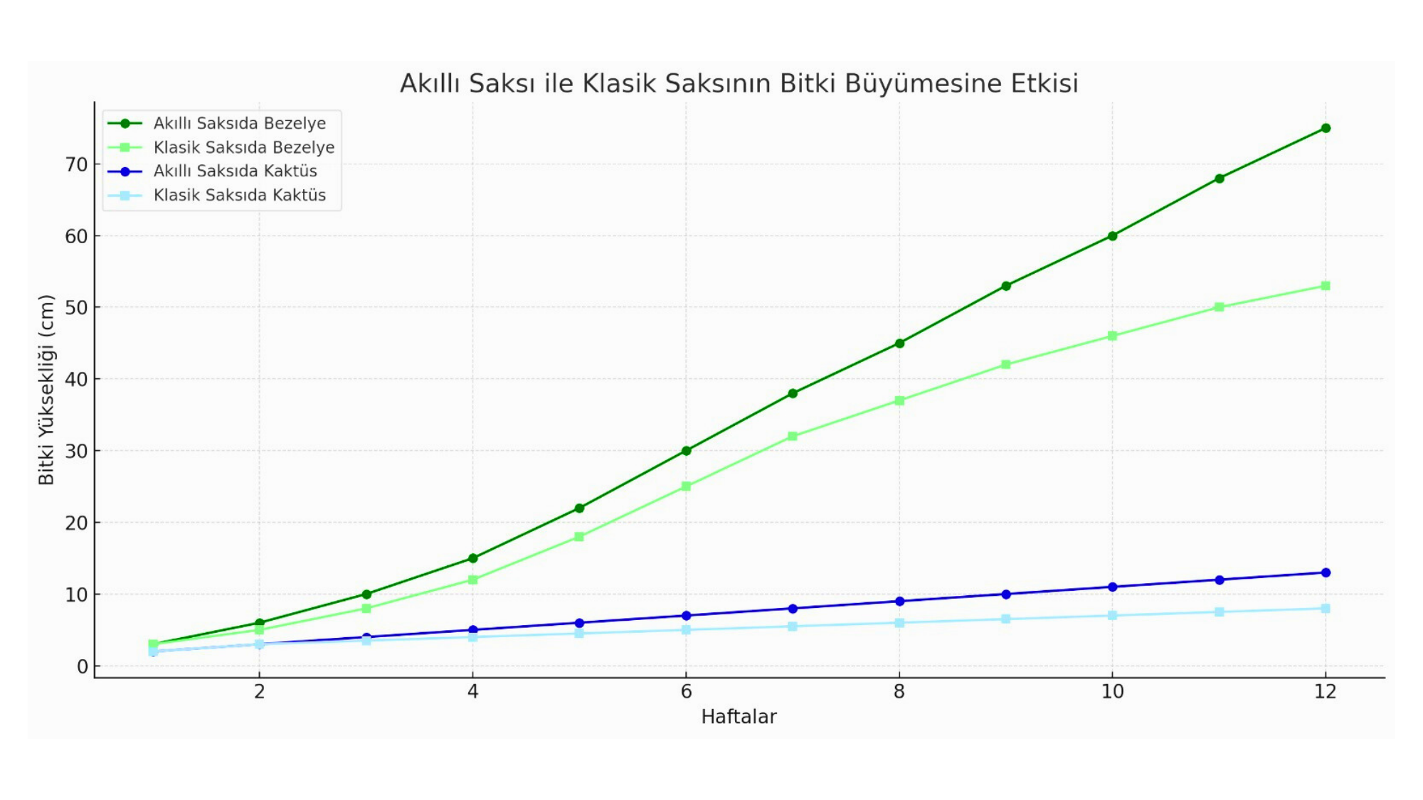 Büyüme Grafiği